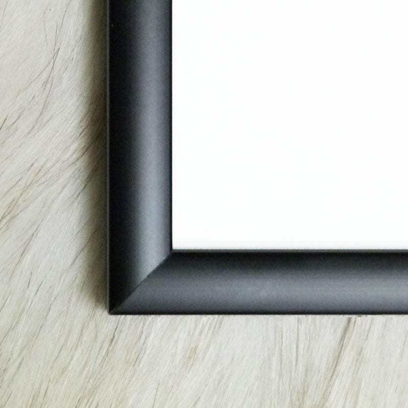 額装品/ミース Lamina Pavello 116 LluisCasals