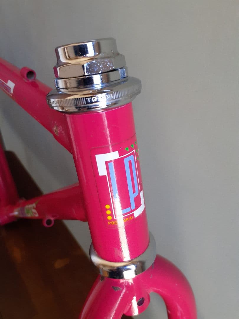 PRO TAKAI OLD MTB フレーム&フォーク 90年代