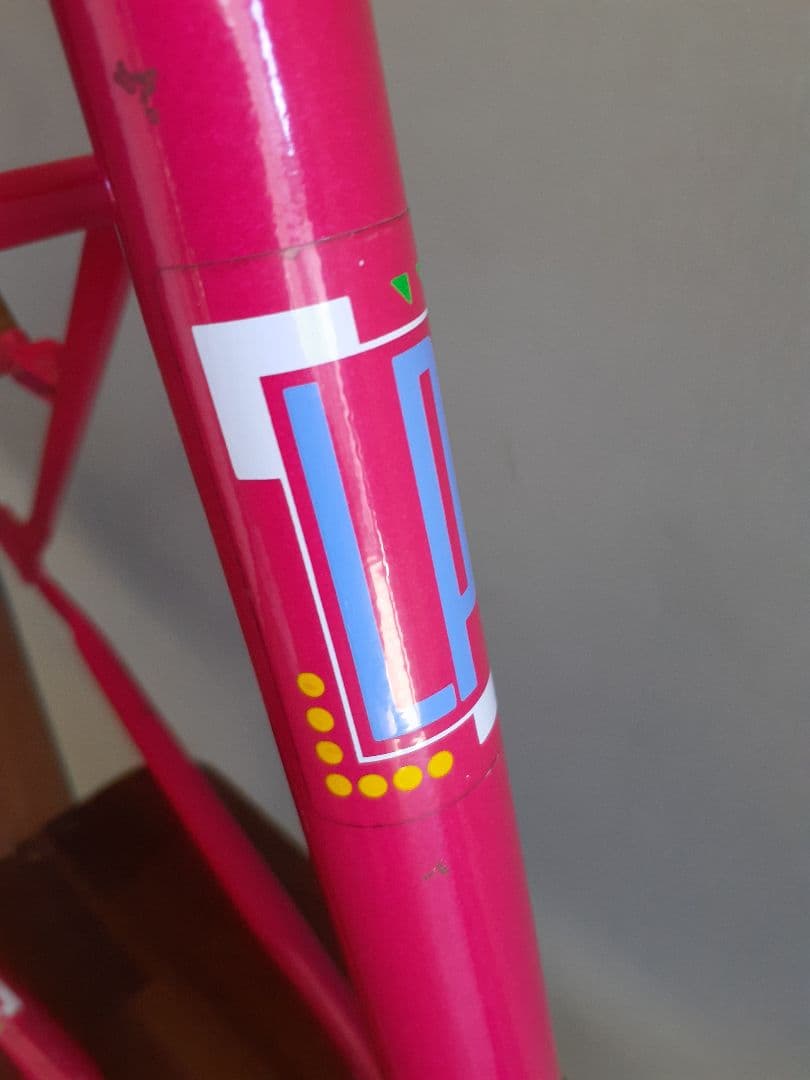 PRO TAKAI OLD MTB フレーム&フォーク 90年代
