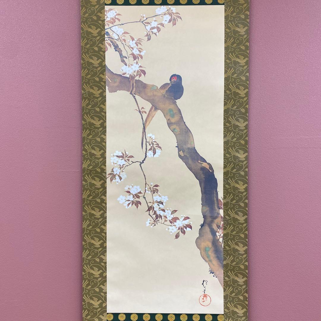 美品 掛け軸 酒井抱一筆 桜花雉子図 花鳥十二カ月 名画 縁起物