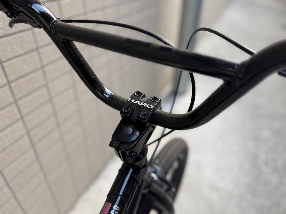 HARO 18インチ BMX DownTown