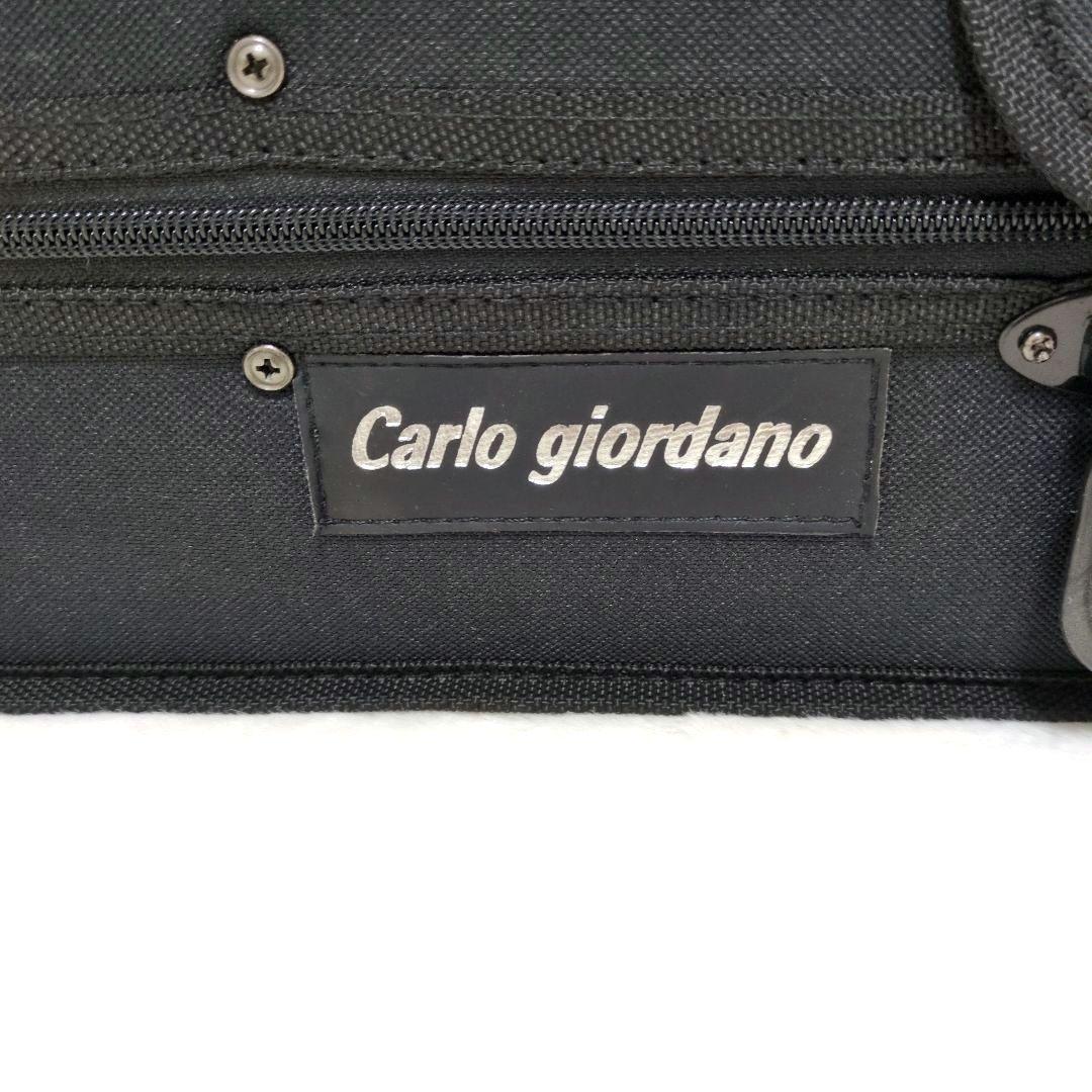 カルロジョルダーノ　エレキバイオリンCarlo Giordano