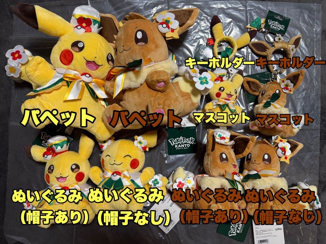 ポケパーク　ぬいぐるみ等10個セット
