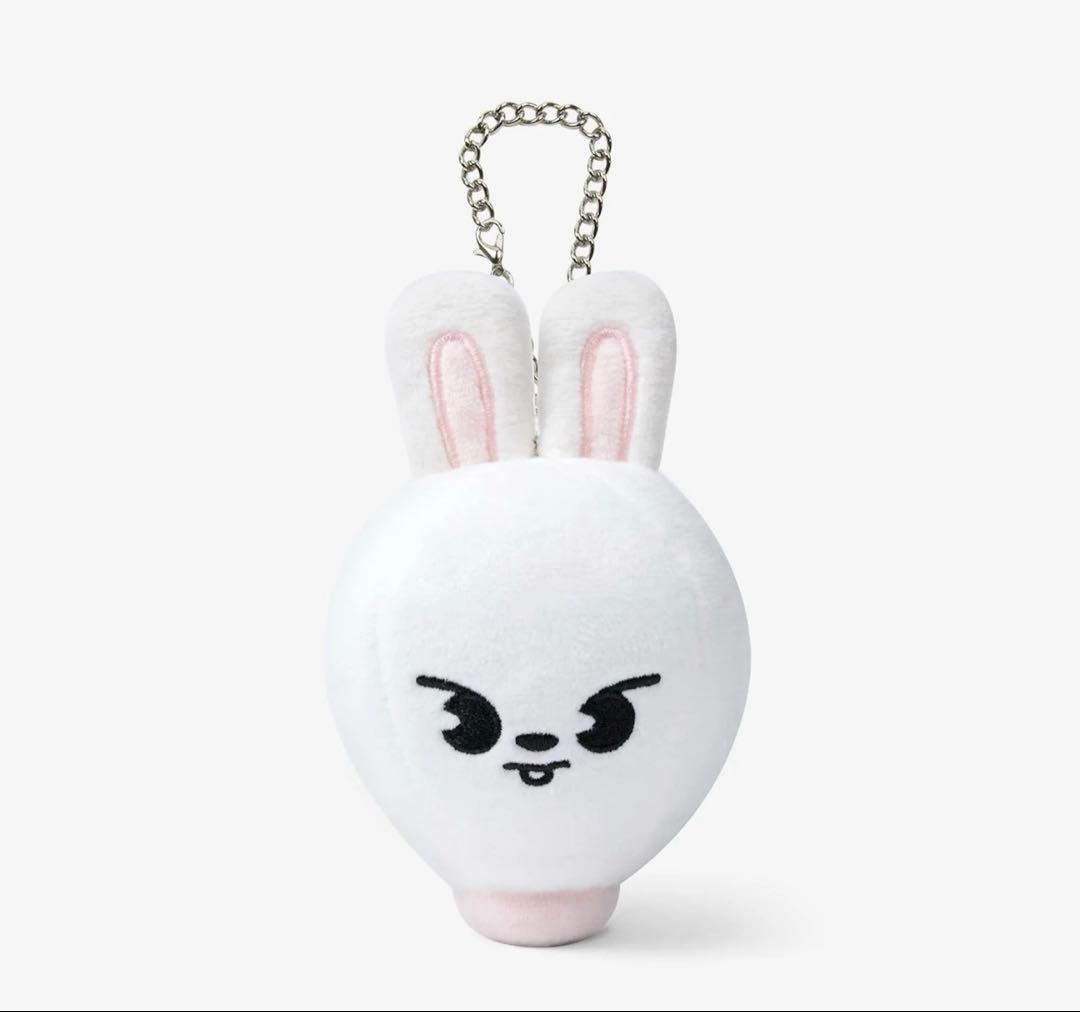 Stray kids Leebitグッズ まとめ売り オマケ付き