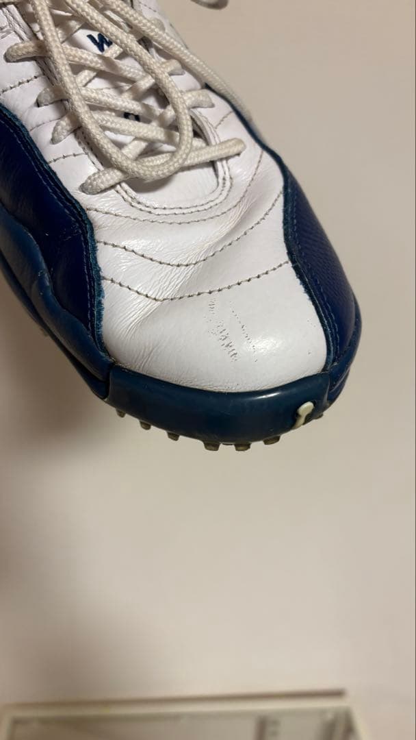 Nike Air Jordan 12 Low Golf ナイキ　ジョーダン12