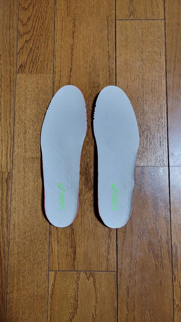 シューズ asics DS LIGHT X-FLY 6 27cm