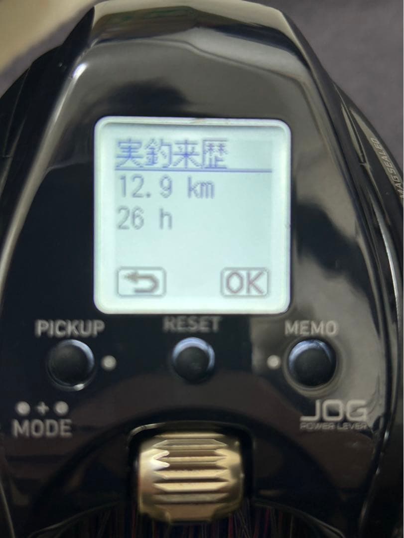 ダイワ　21シーボーグ300J