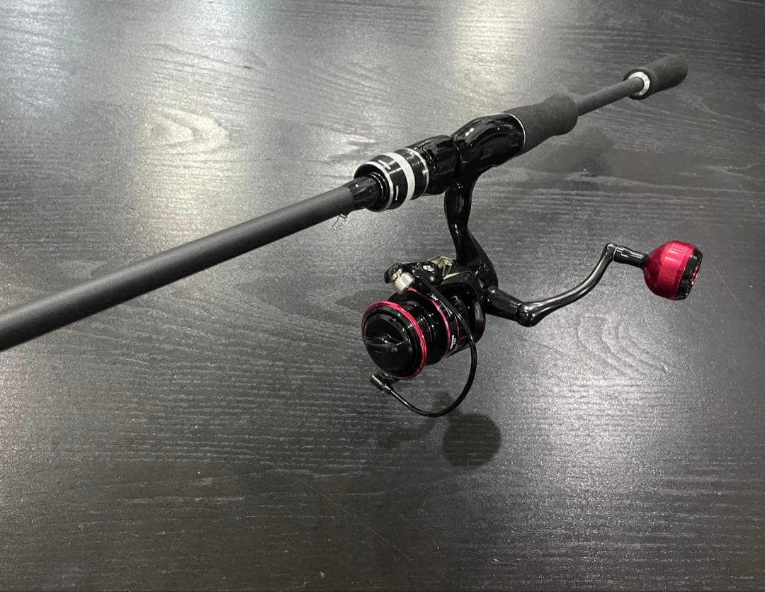 エギングデビュー2ピーススピニングロッド&3000番リールイカエギ他PEライン付