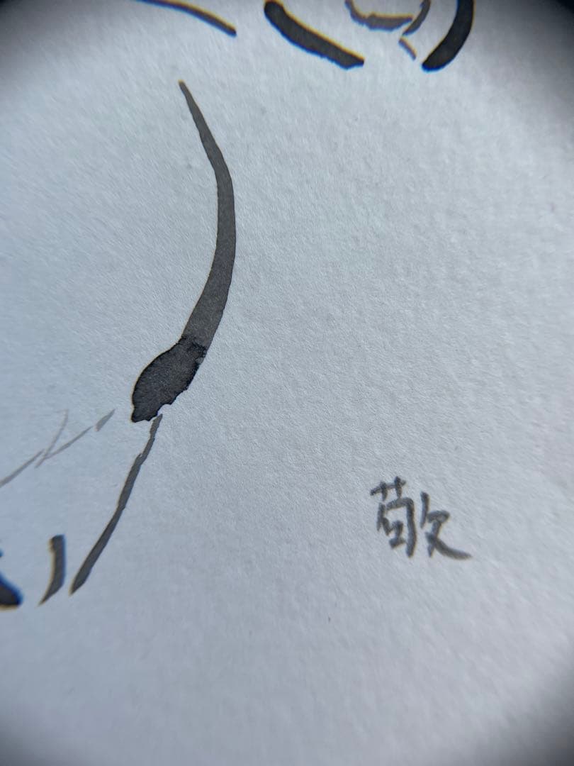 ひとやすみする白猫