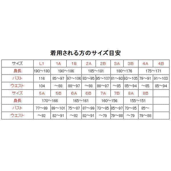 陸上自衛隊 リップストップ 迷彩服 ３Ｂ