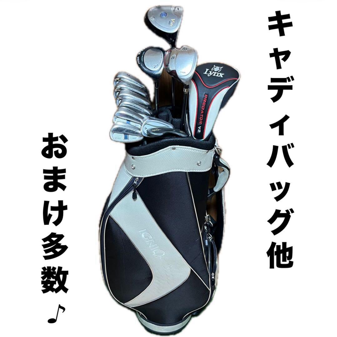 【NEXGEN】ゴルフクラブ11本 フルセット キャディバッグ 他おまけ多数 男