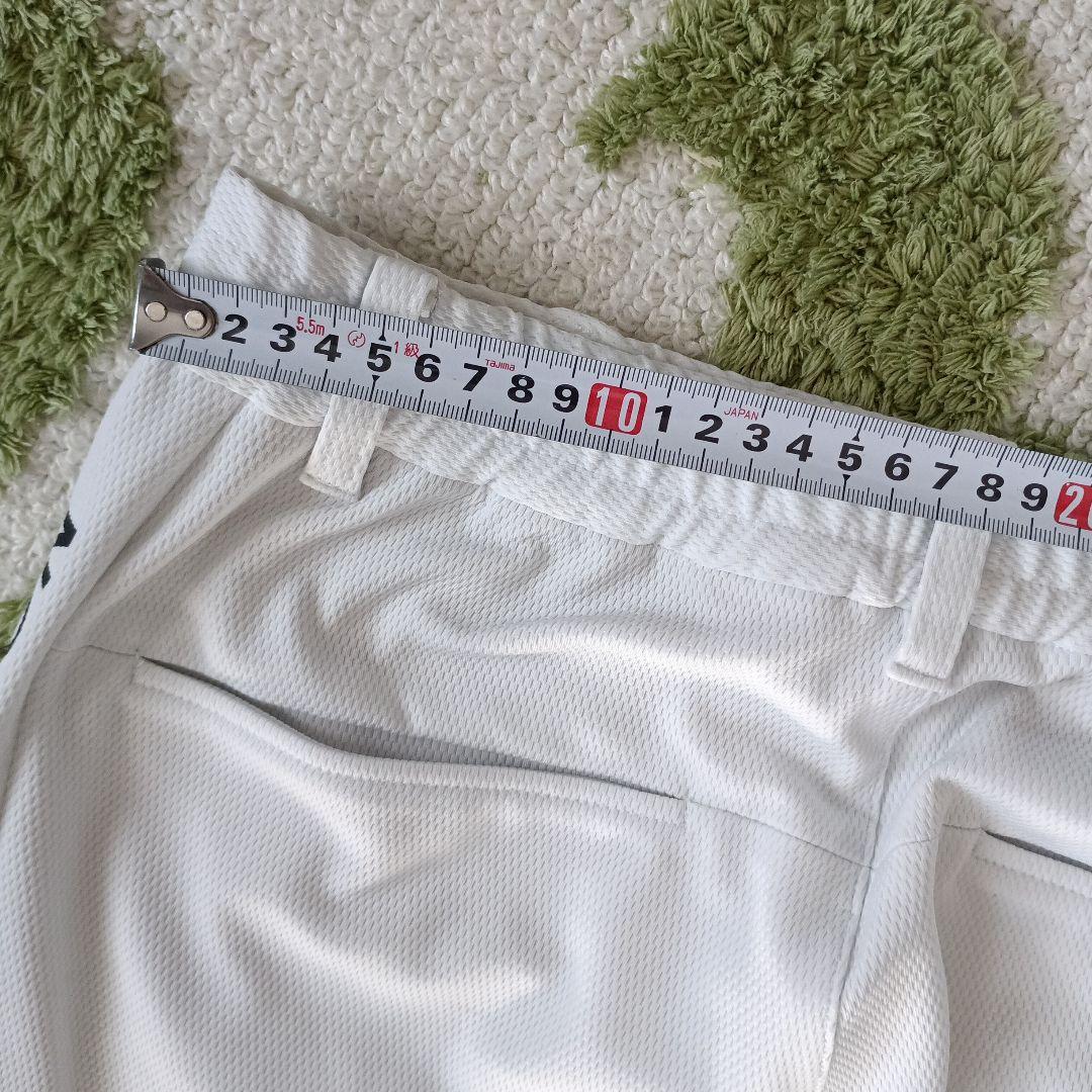 マスターバニー　パンツ
