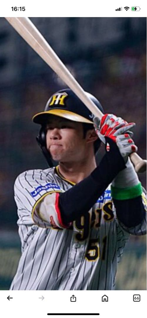 ‼️ドライフラワー‼️阪神タイガース選手会長　中野拓夢選手ユニフォーム