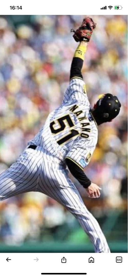 ‼️ドライフラワー‼️阪神タイガース選手会長　中野拓夢選手ユニフォーム
