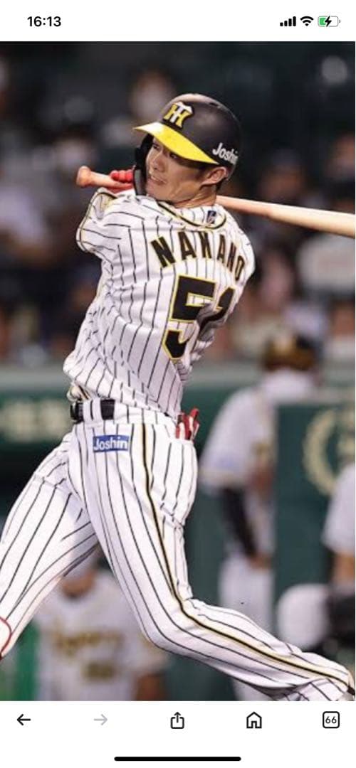 ‼️ドライフラワー‼️阪神タイガース選手会長　中野拓夢選手ユニフォーム