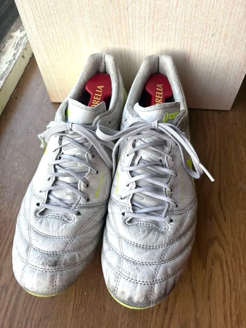 美品！値下げ可能！ASICS DS LIGHT X-FLY5 27.0センチ