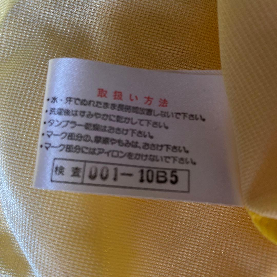 【タグ付】1995カレッカ選手他13名　サイン　柏レイソル　Mizunoユニ