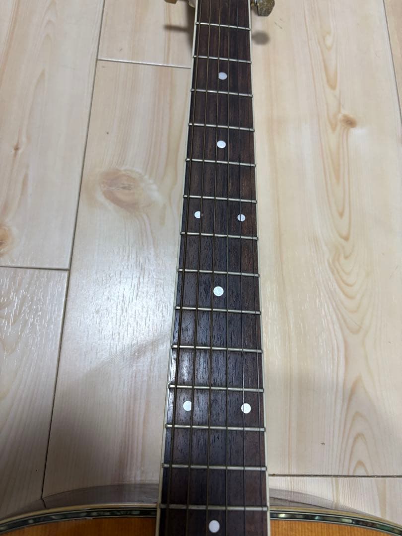 Morris MD-520 アコースティックギター