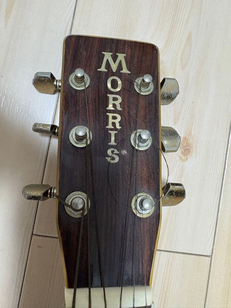 Morris MD-520 アコースティックギター