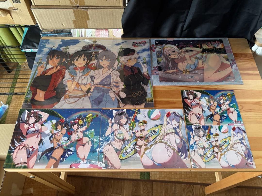 シノビマスター 閃乱カグラ NEW LINK ILLUSTRATIONS特典