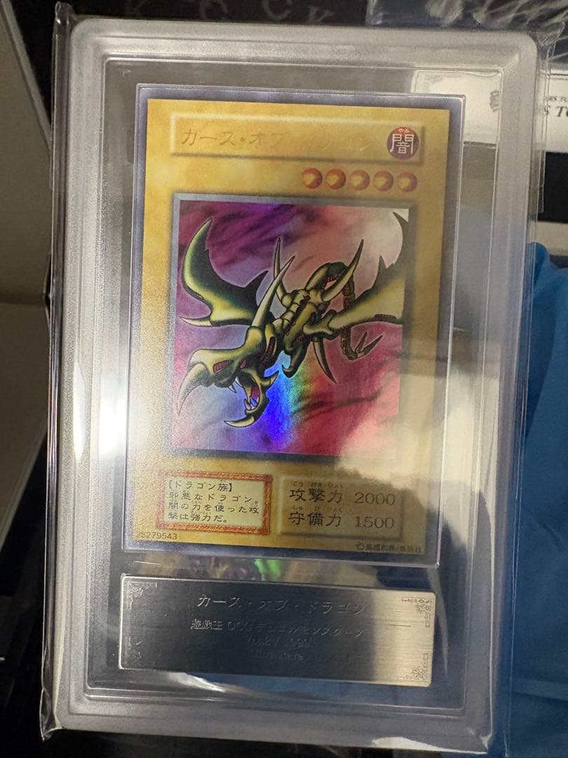 ARS9 初期　カースオブドラゴン　遊戯王