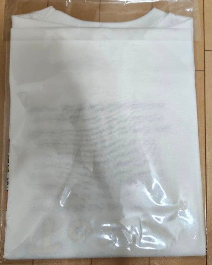 Hi-STANDARD SNB TOUR HONGOLIAN XXL　ハイスタ