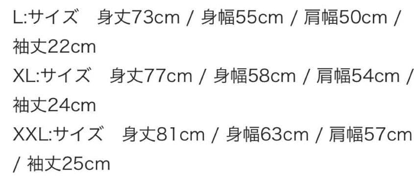 Hi-STANDARD SNB TOUR HONGOLIAN XXL　ハイスタ