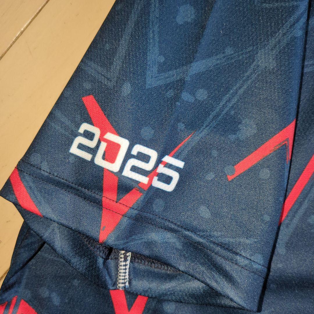 激レア ミズノ MIZUNO バレーボール 国体 国スポ ALLJAPAN