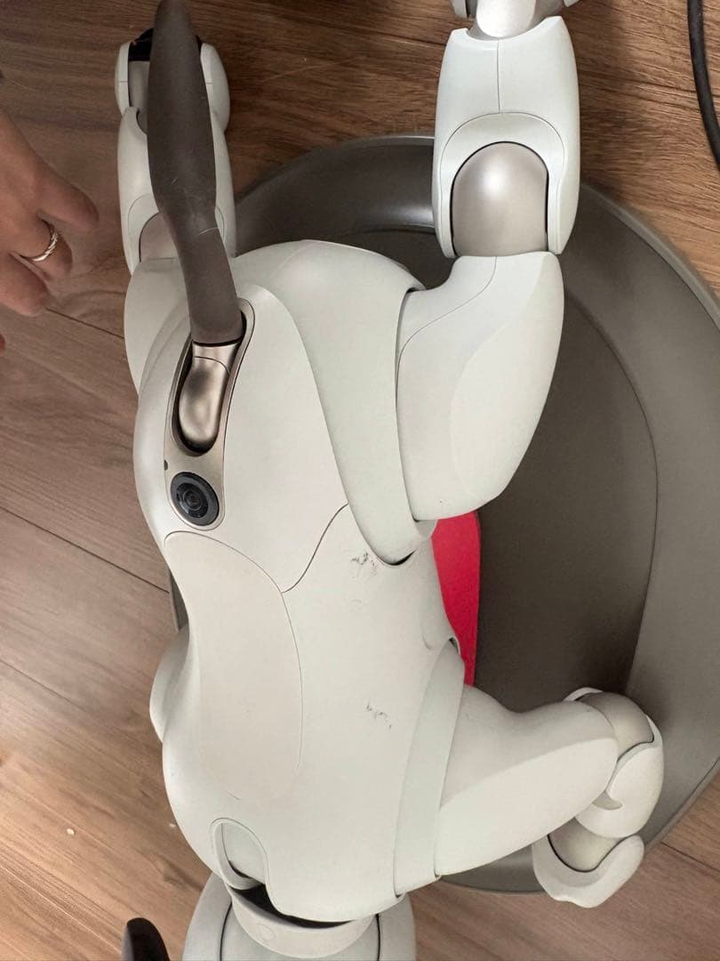 SONY aibo アイボ　ERS-1000 アイボリーホワイト 犬型ロボット