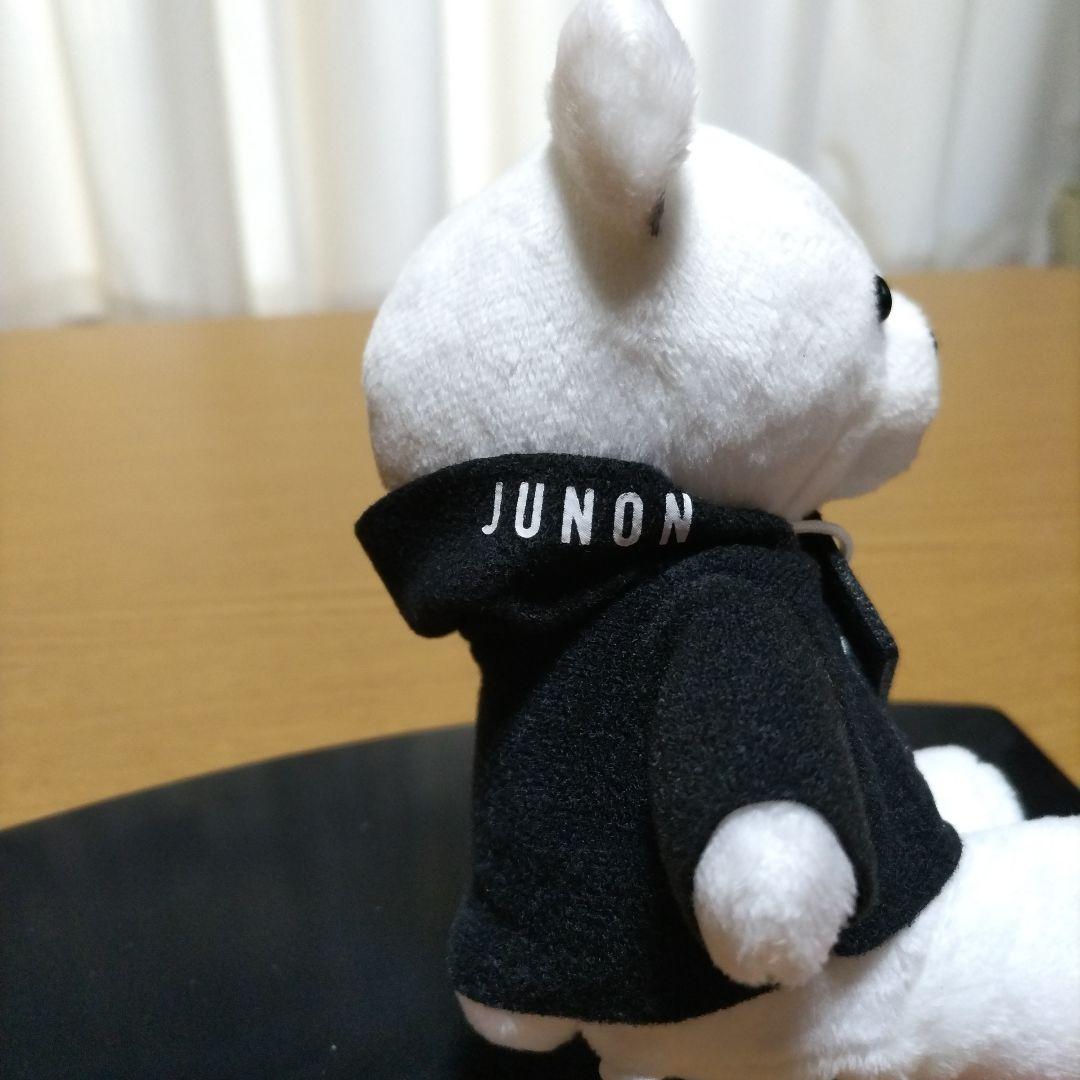 しんさんBE:FIRST JUNON ☆ぬいぐるみ　くま