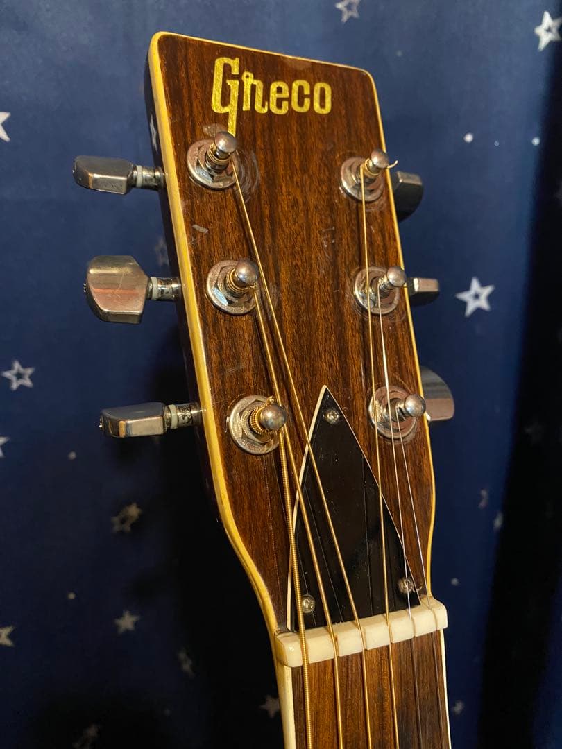 Greco F-200 フジゲン製 (エレアコ仕様)
