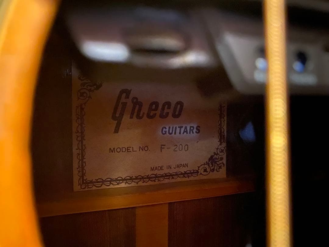 Greco F-200 フジゲン製 (エレアコ仕様)