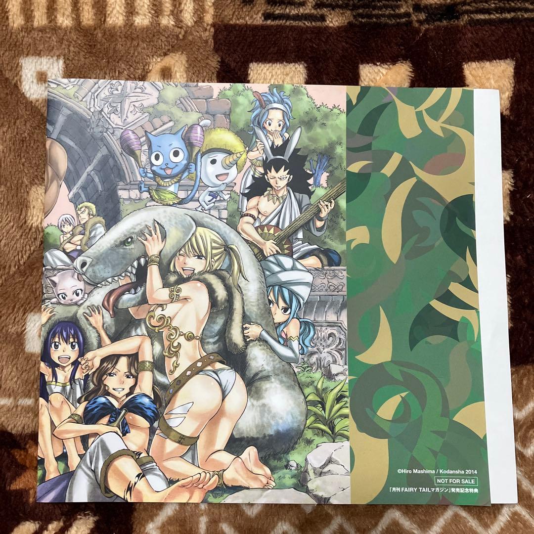 【非売品】月刊フェアリーテイルマガジン　FAIRYTAILブックカバー