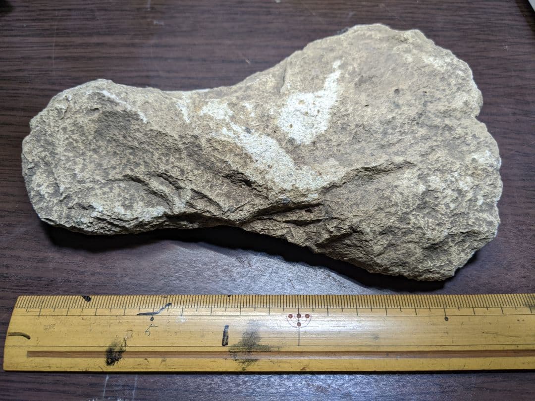 （a-25）古代石斧（旧石器時代）