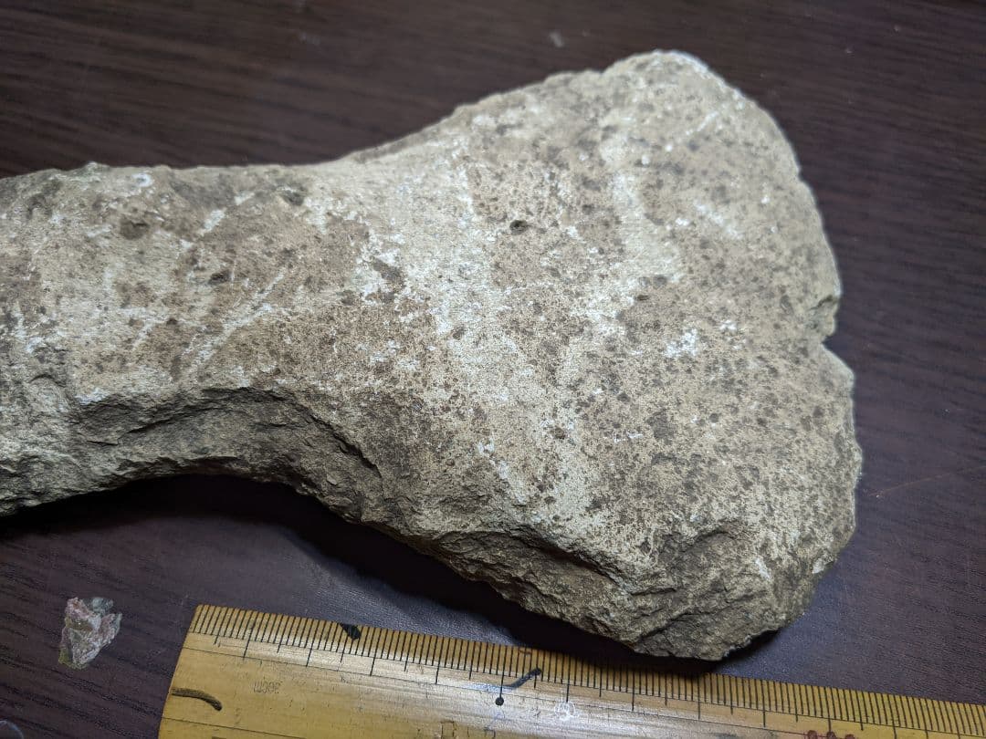 （a-25）古代石斧（旧石器時代）