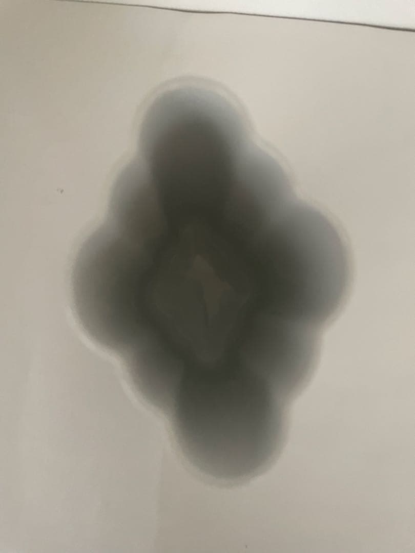 ロイヤルコペンハーゲン　ブルーパルメッテ　フラワーベース(花瓶)箱付き