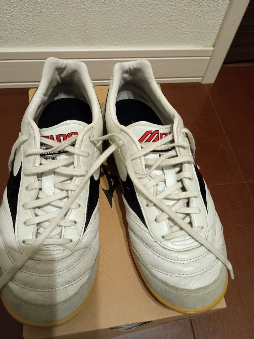 専用！25cm ミズノ モレリア イン MORELIA IN FUTSAL 室内