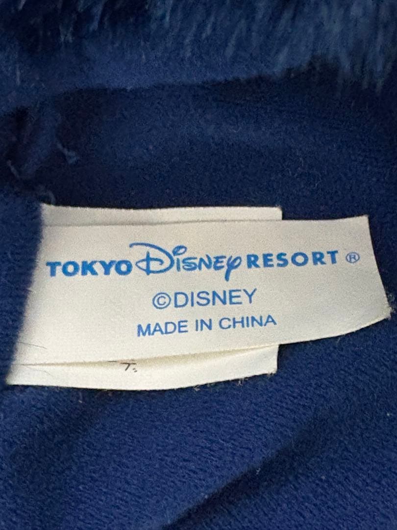 ディズニー　ファンキャップ　アメリカ