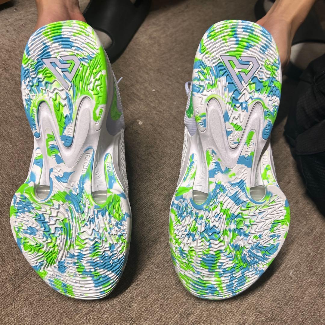NIKEズームフリーク4