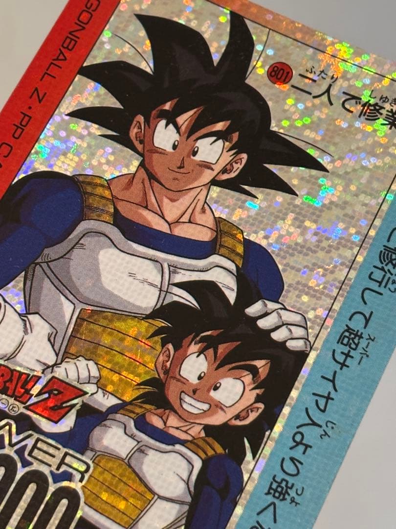 ドラゴンボールカードダス AMADA 801 二人で修行 デジタルドットVer