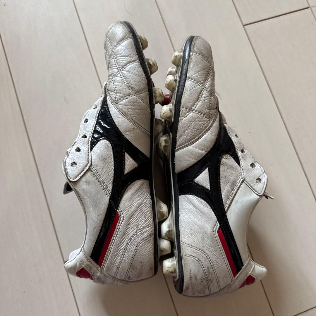 Mizuno Morelia クロスステッチ