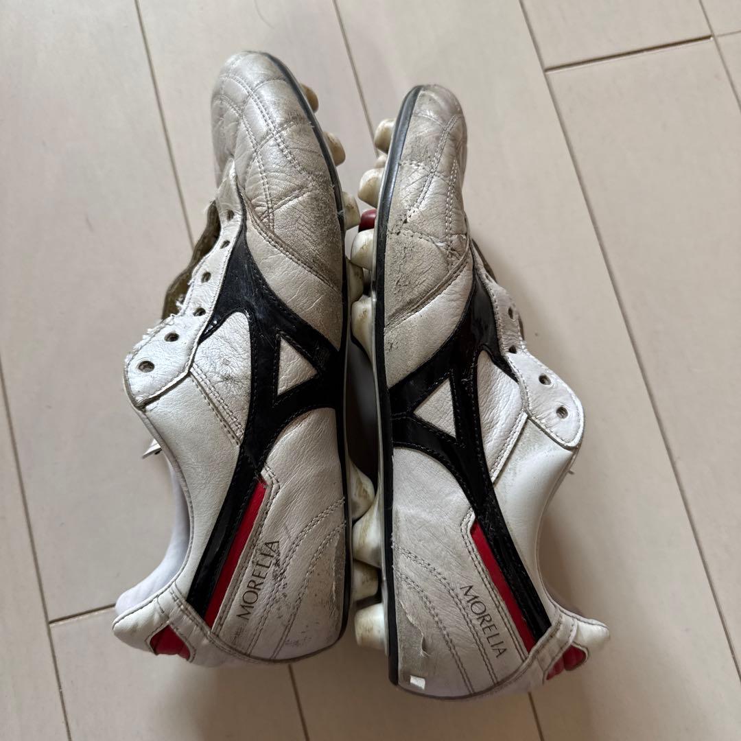 Mizuno Morelia クロスステッチ