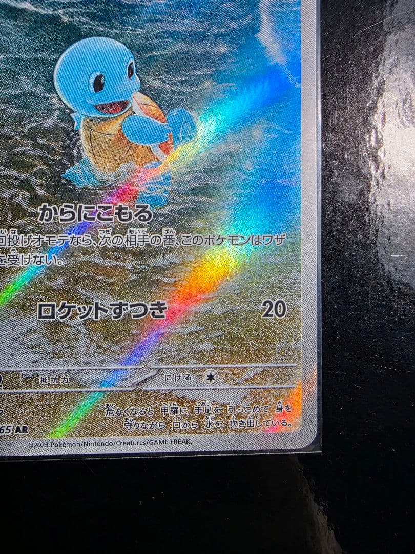 ゼニガメ　カメール　AR