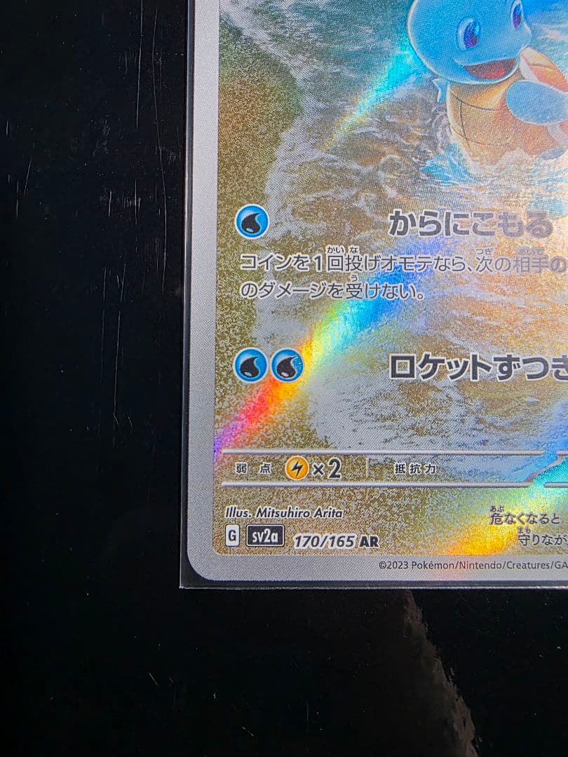 ゼニガメ　カメール　AR