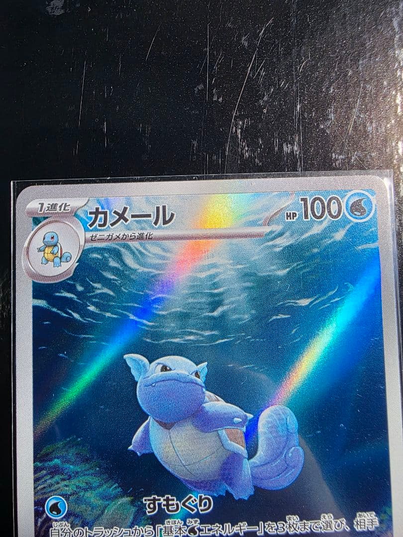 ゼニガメ　カメール　AR