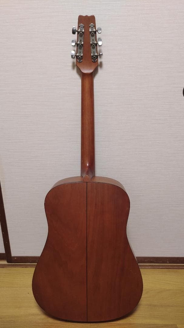 ギター Vintage VIS-1