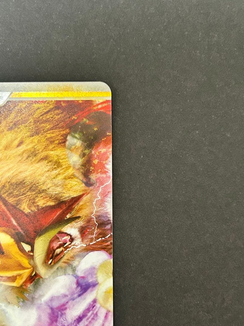エンテイ&ライコウLEGEND 上下セット L2 美品