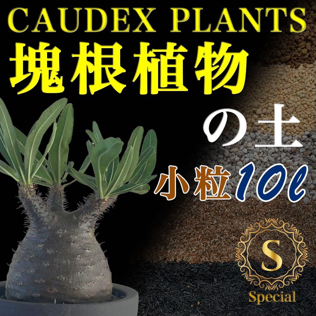 塊根植物の土　Special小粒10㍑培養土　パキポディウム・アデニウム等