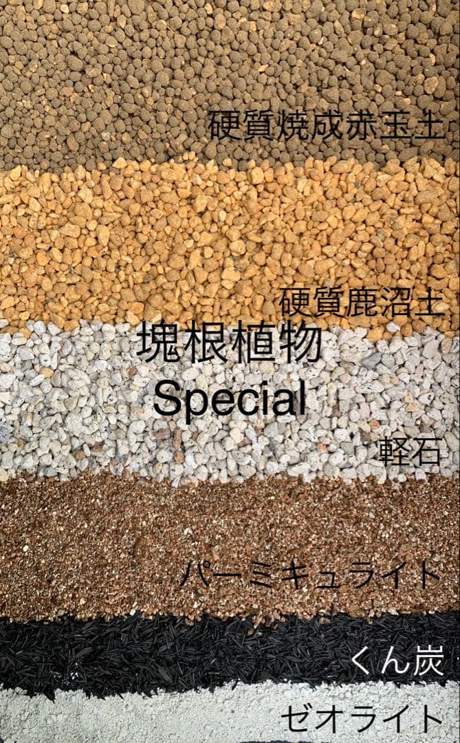 塊根植物の土　Special小粒10㍑培養土　パキポディウム・アデニウム等