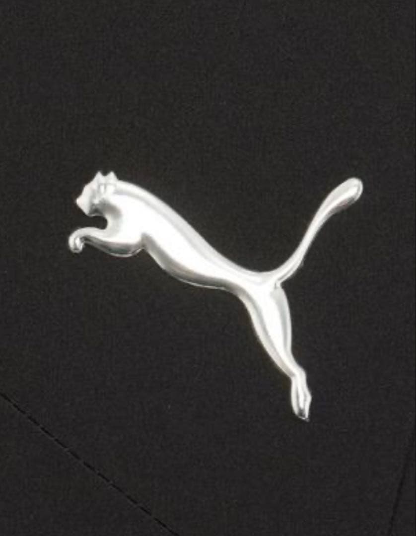 PUMA プーマ メンズ トレーニング プーマ フレックス ウーブンパンツ　M